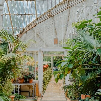 An indoor plant conservatory